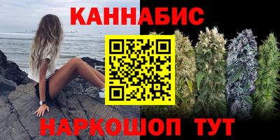 гидропоника Можга